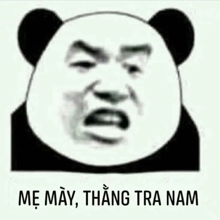 Ảnh chế gấu trúc nhây chửi Thằng tra nam
