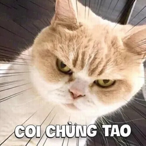 Ảnh chế mặt giận khiến dân mạng vừa sợ vừa buồn cười