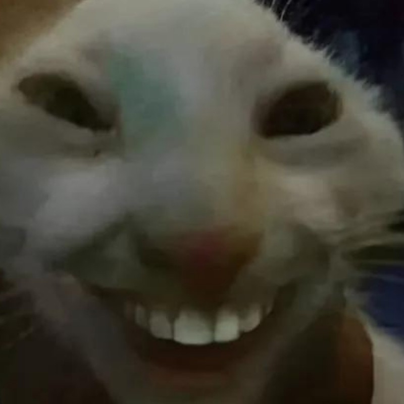 Mèo cười nhe răng tươi tắn, đáng yêu