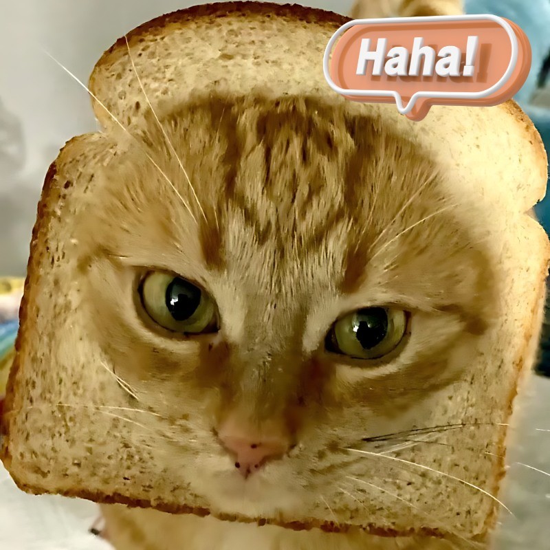 Mèo cười "haha" thể hiện sự vui vẻ, hân hoan