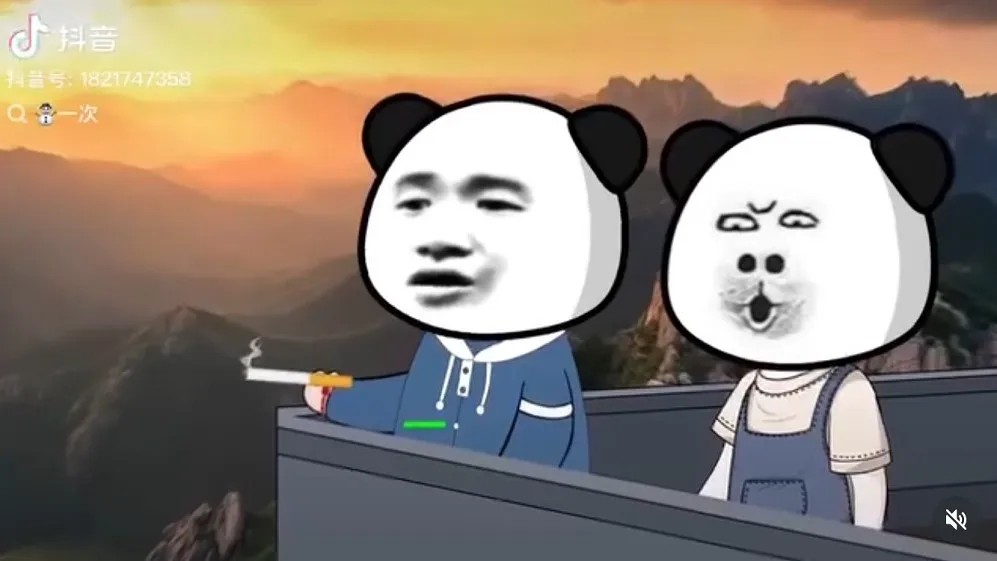 Cười ngất với 130 Meme Gấu Trúc Weibo bựa lầy lội, dễ thương và hài hước