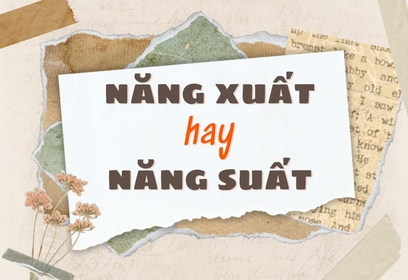 Năng xuất hay năng suất - Cách viết nào đúng?