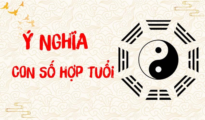 Các con số hợp tuổi mang đến may mắn và thịnh vượng cho gia chủ.