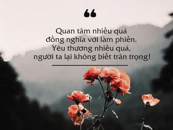 status-noi-ve-cuoc-song-23