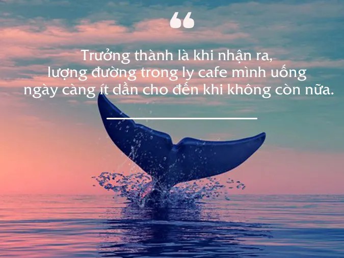 status-noi-ve-cuoc-song-27