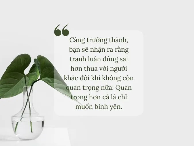 status-noi-ve-cuoc-song-voh-5