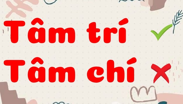 Tâm trí hay tâm chí là câu hỏi nhiều người thắc mắc