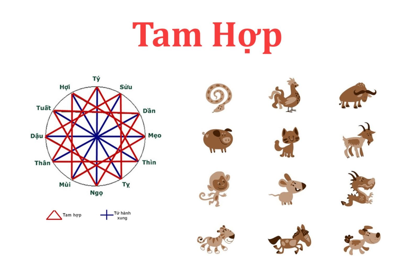 Minh họa mối quan hệ tam hợp giữa các con giáp