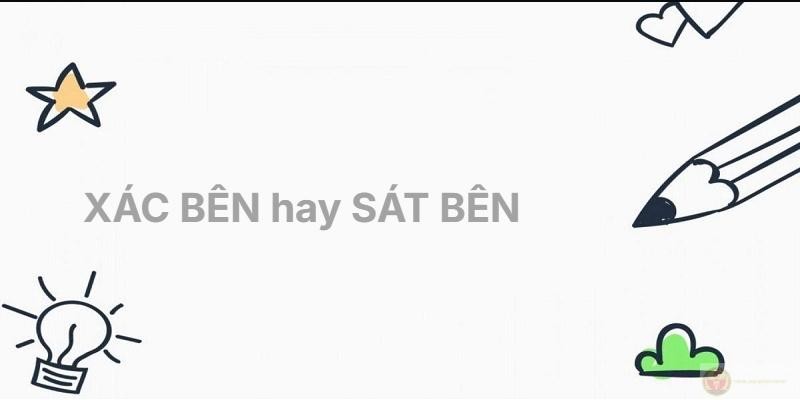 Cận cảnh hai chú gấu bông ngồi sát bên nhau trên ghế sofa