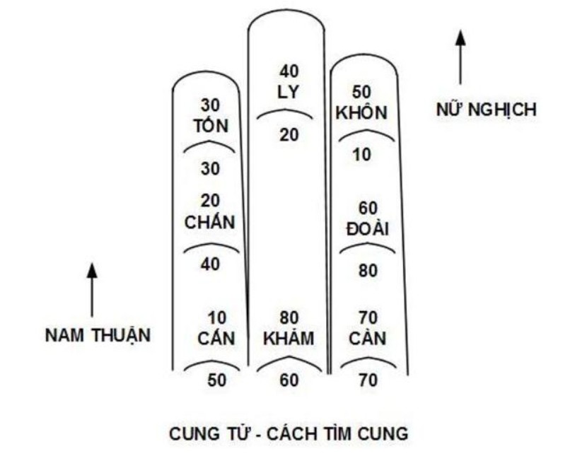 Cảnh sát phong tỏa và khám nghiệm khu vực phát hiện thi thể nạn nhân