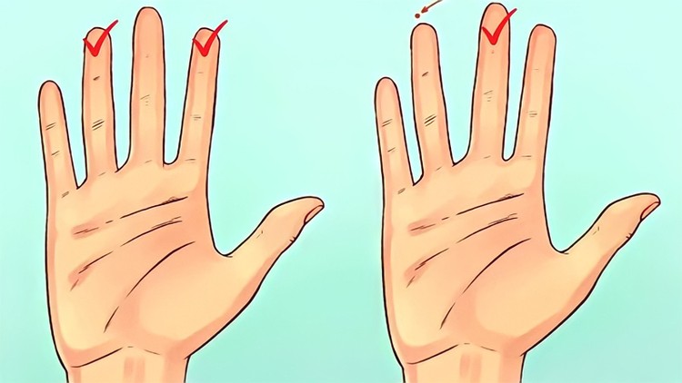 Cận cảnh bàn tay có nhiều hoa tay