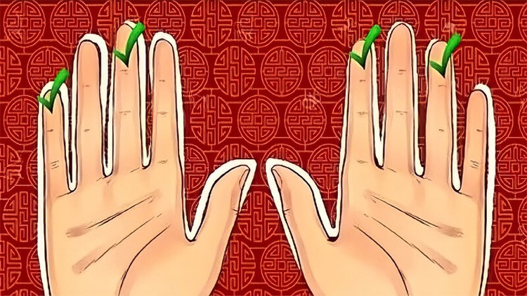 Minh họa đường vân tay