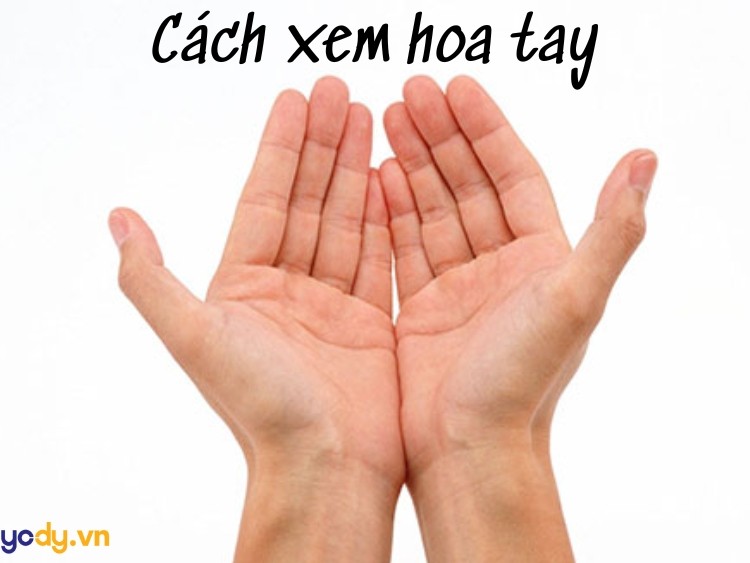 Một người đang xem vân tay của mình