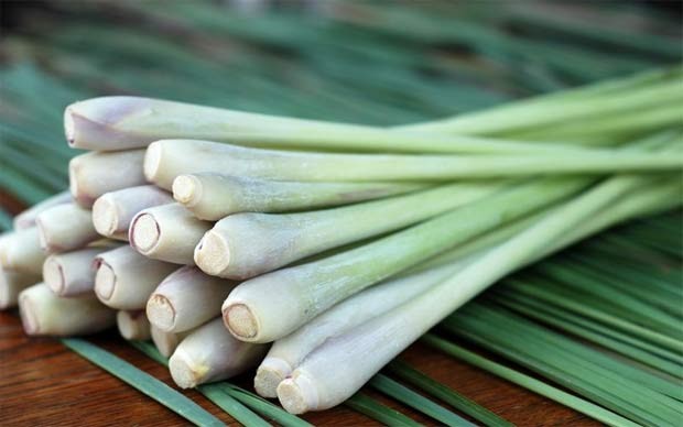 Nguyên nhân nhầm lẫn củ sả, củ xả, củ sã