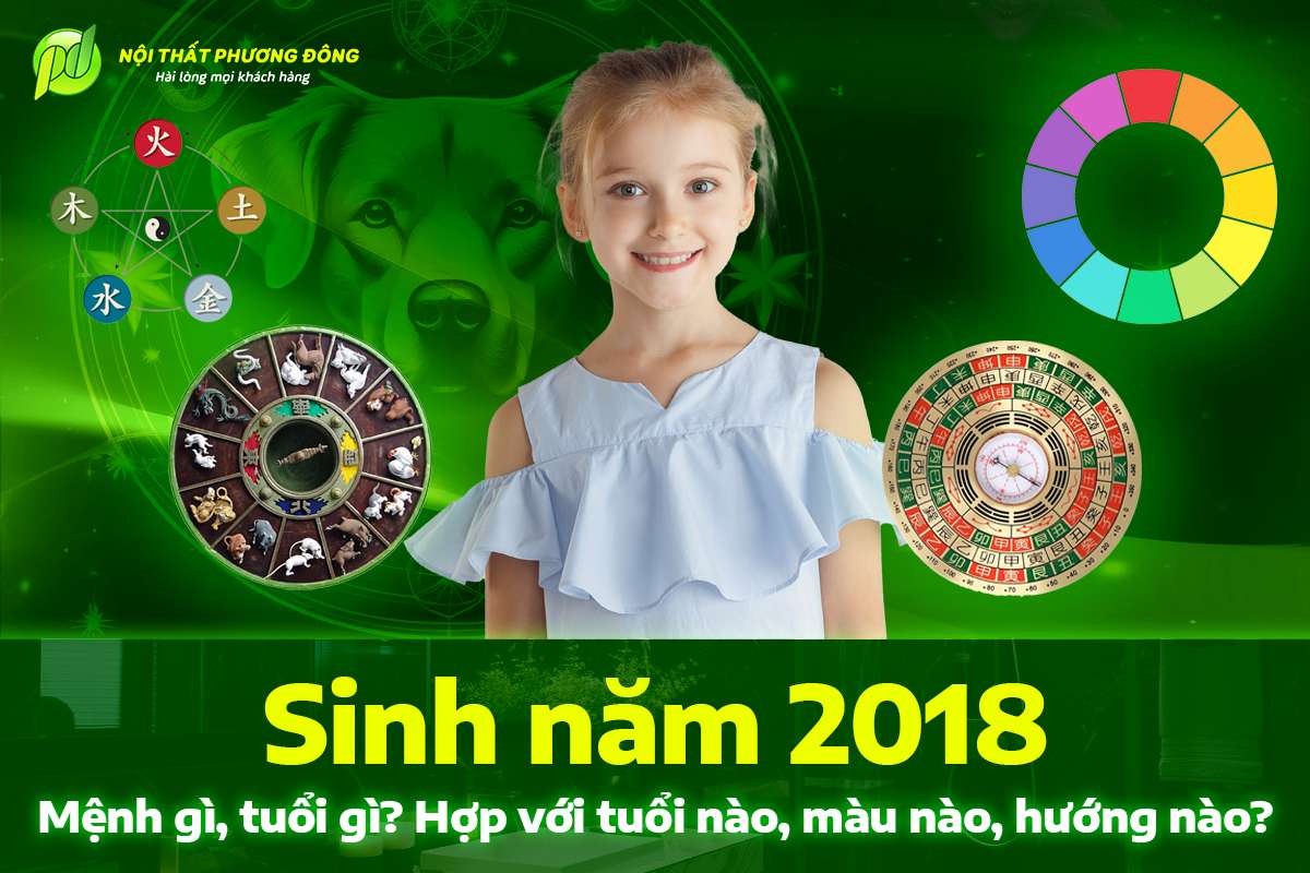 Hình ảnh minh họa chú chó trung thành