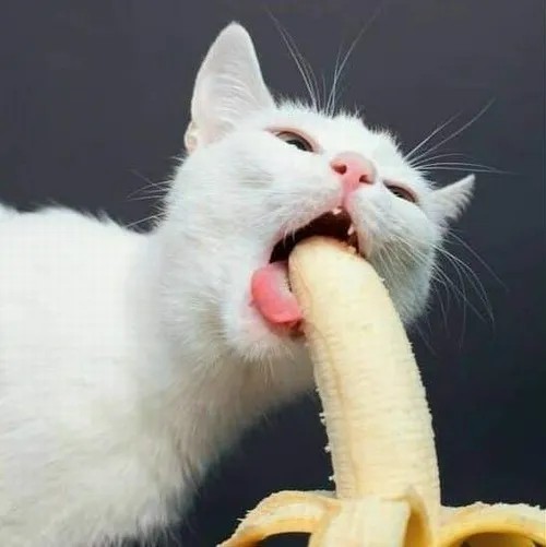 Khi mở ví và thấy mọi thứ trống trơn.