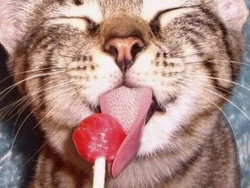Khi cố tỏ ra bình thường nhưng cuộc đời không cho phép.