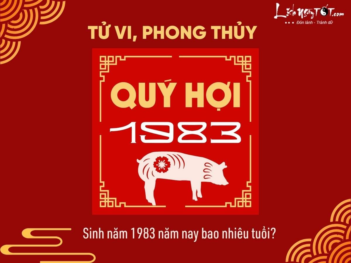 Cận cảnh một chú gấu bông màu nâu với đôi mắt tròn xoe, đang ngồi trên nền cỏ xanh mướt