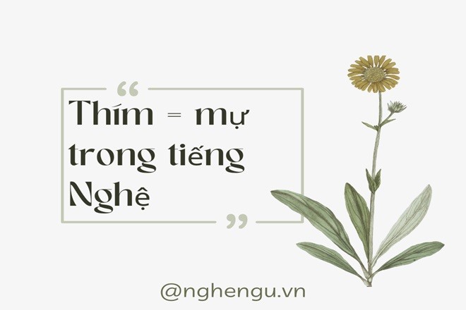 Cận cảnh một người phụ nữ đang trò chuyện thân mật