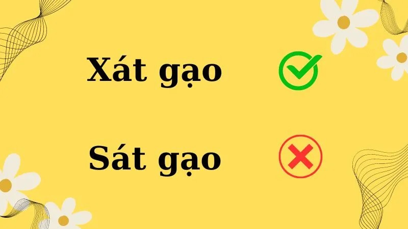 Quy trình xát gạo thủ công bằng máy